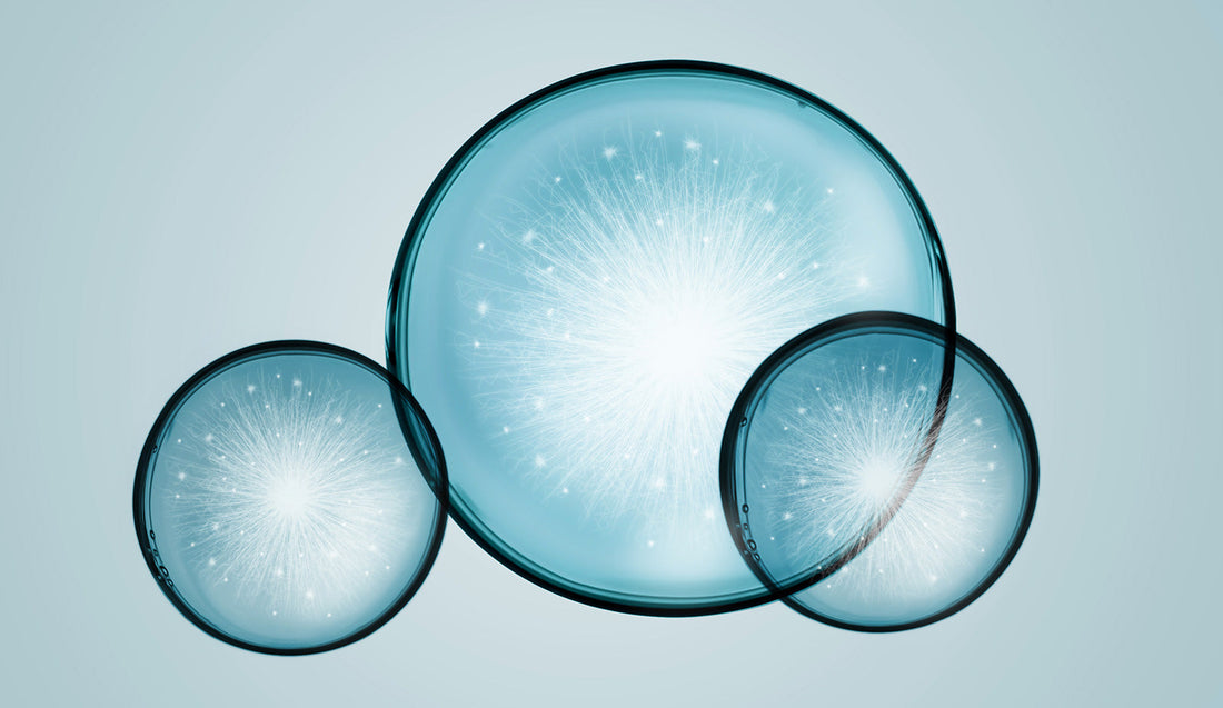 Acido Ialuronico: pesi diversi, azioni diverse.